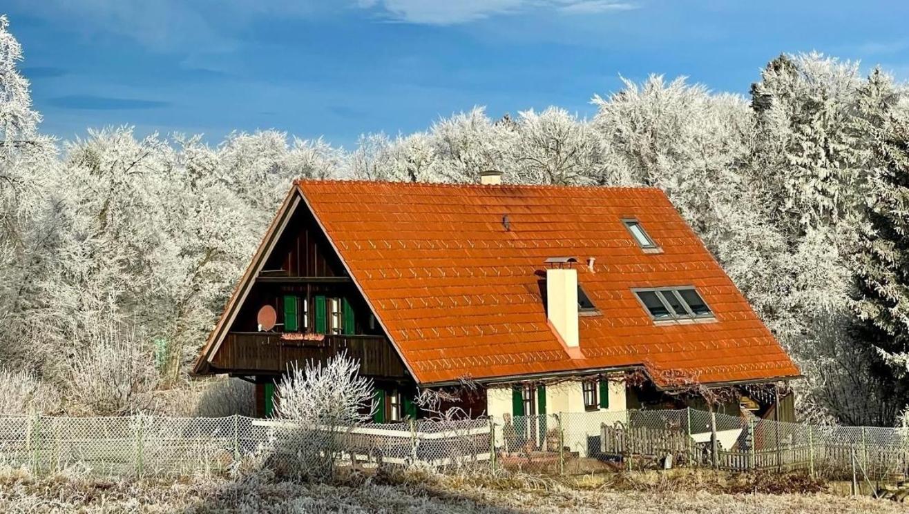 Ferienhaus Neubauer Spielfeld Extérieur photo